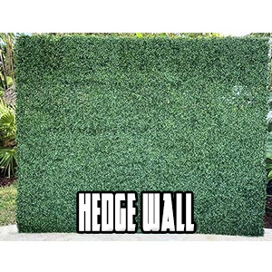 hedge wall for photo backdrop