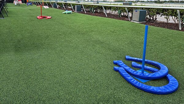 life-size giant horse shoes game rental in florida.jpg