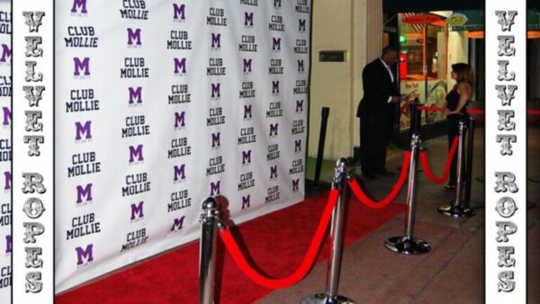 Velvet Ropes & Stanchions photo booth rental