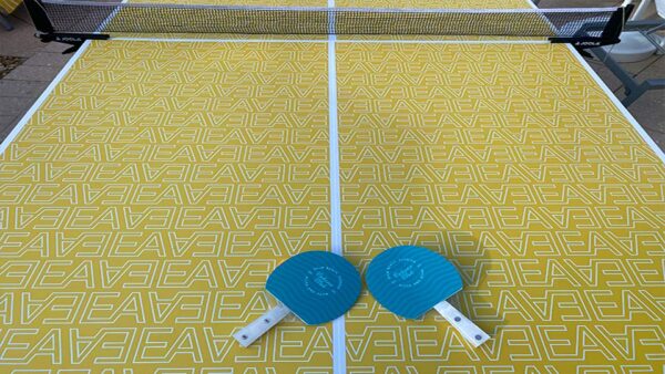 Ping Pong Table & Paddles branded