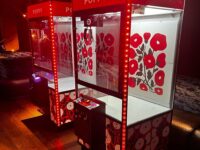 Claw Machine Arcade Game